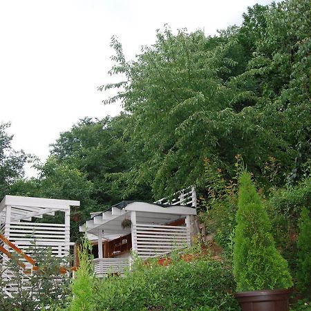 Studio Apartmani Pergolo Centar Soko Banja Exterior photo